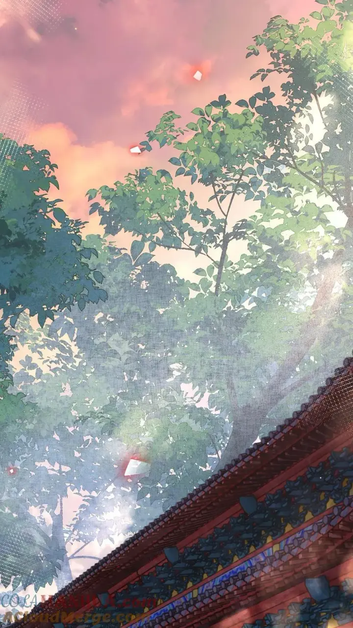 《娇娇贵妃手段高，皇帝不经撩》第223话 长寿面图17