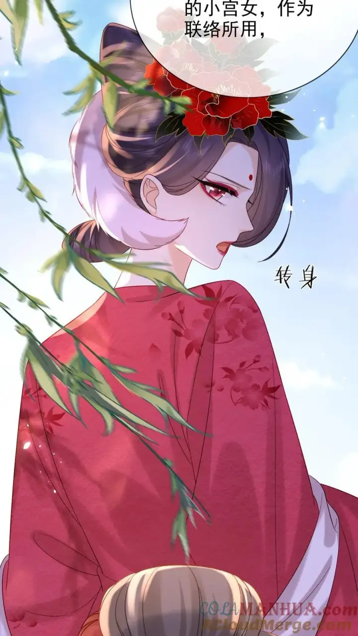 《娇娇贵妃手段高，皇帝不经撩》第246话 靠山图19