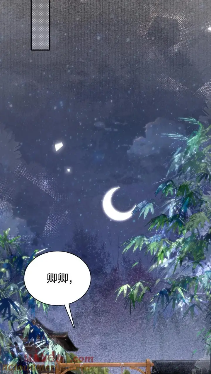 《娇娇贵妃手段高，皇帝不经撩》第297话 两个人的生辰宴图27