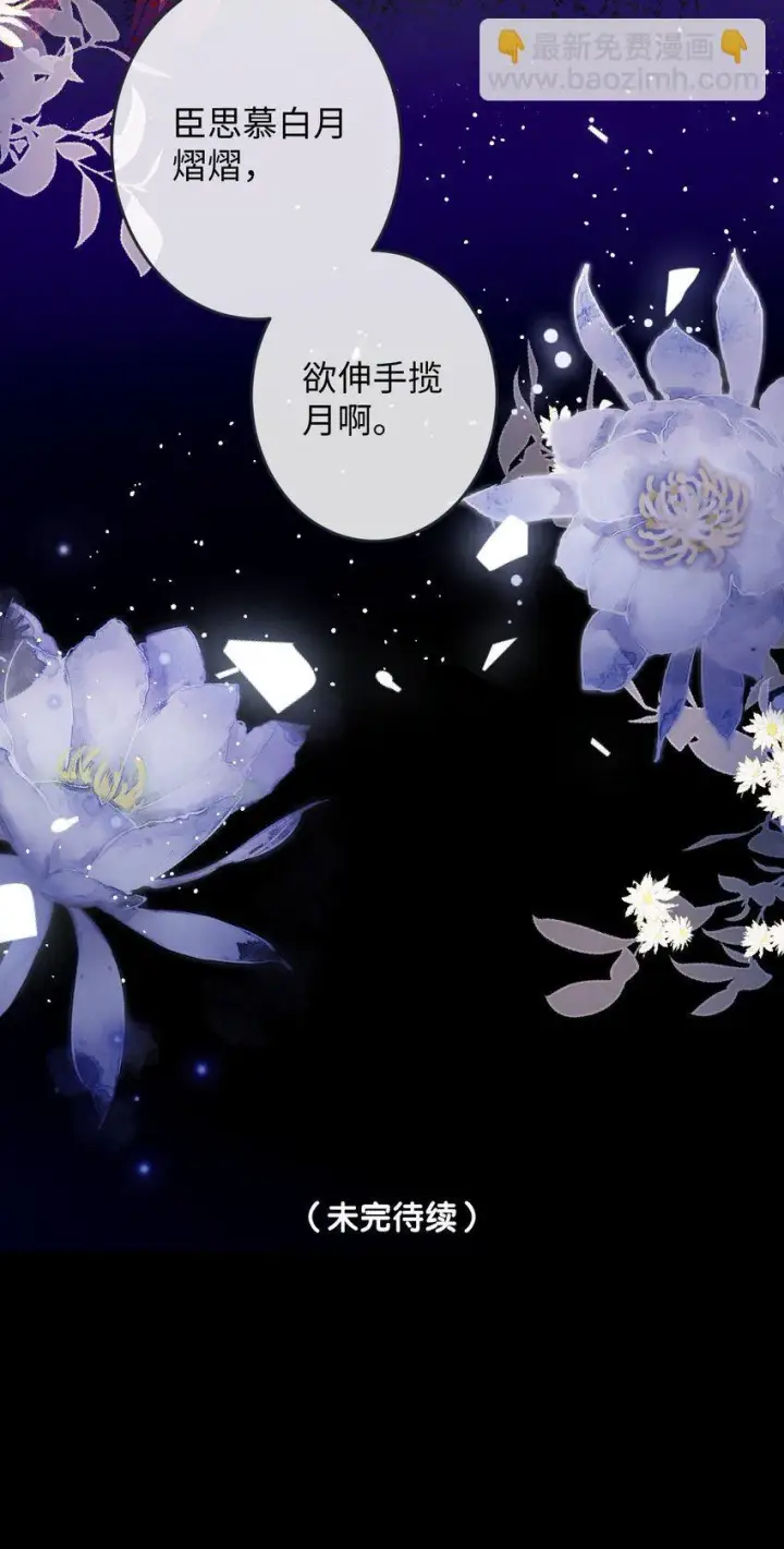 《娇养了个疯批美人儿》011 我所欲也图45
