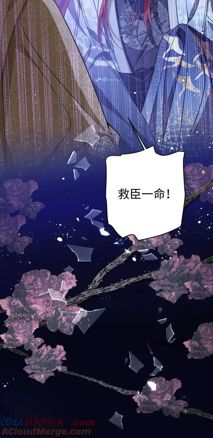 《娇养了个疯批美人儿》036 将计就计图25