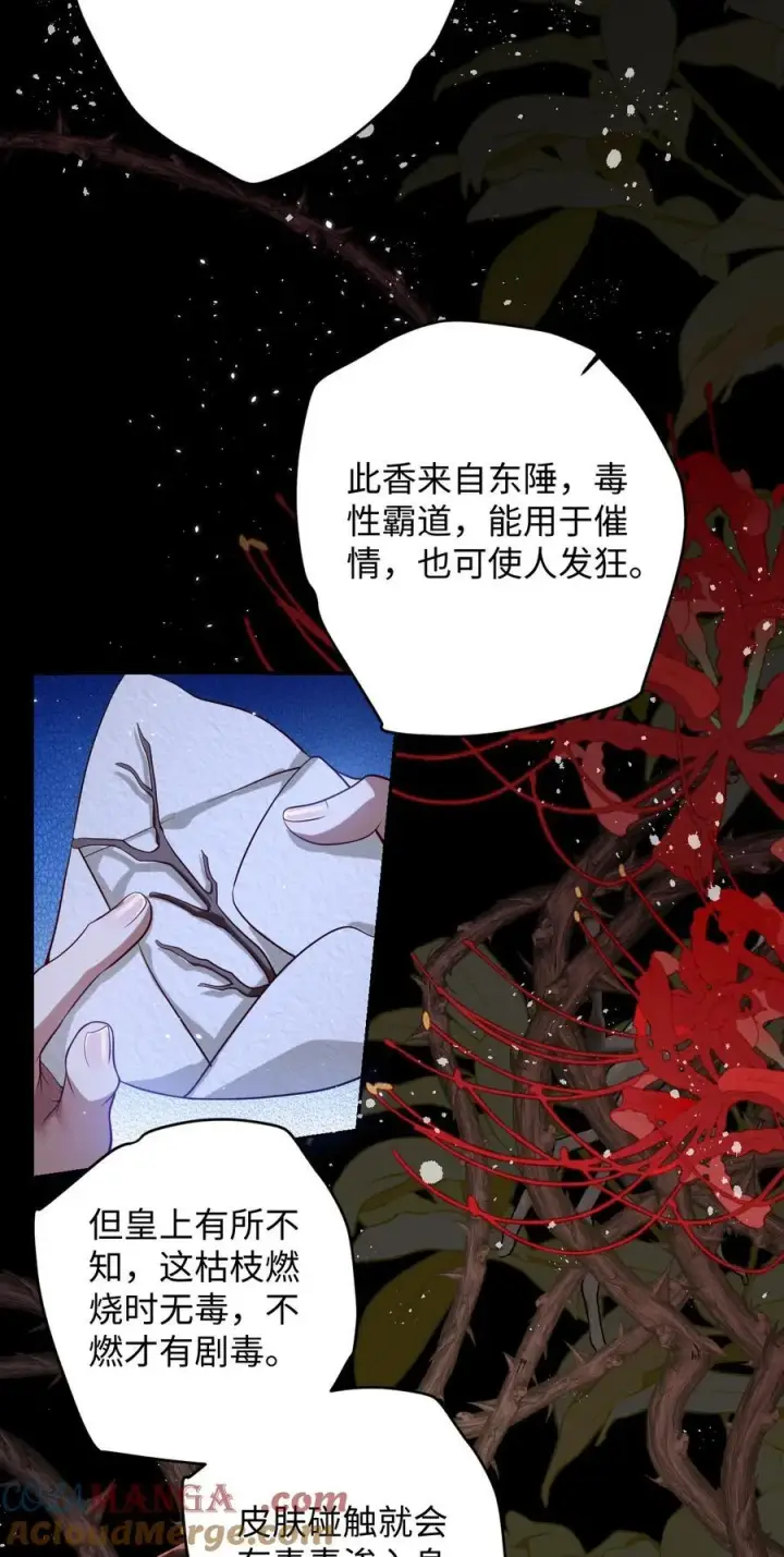 《娇养了个疯批美人儿》036 将计就计图29