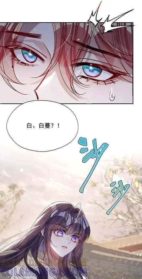 《娇养了个疯批美人儿》073 一直都是你图7