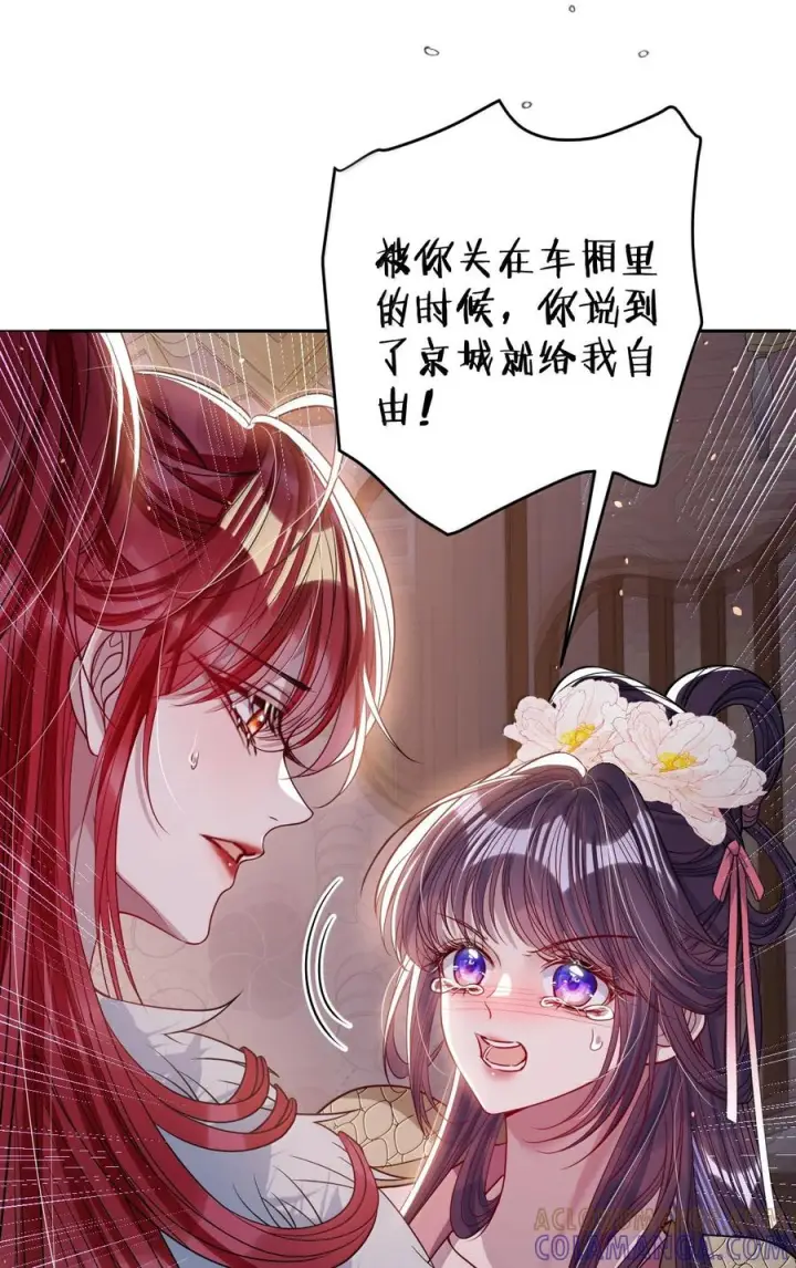 《娇养了个疯批美人儿》074 我恨你图79