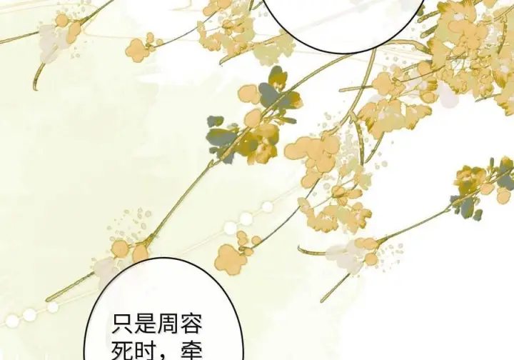 《娇养了个疯批美人儿》078 为何？图24