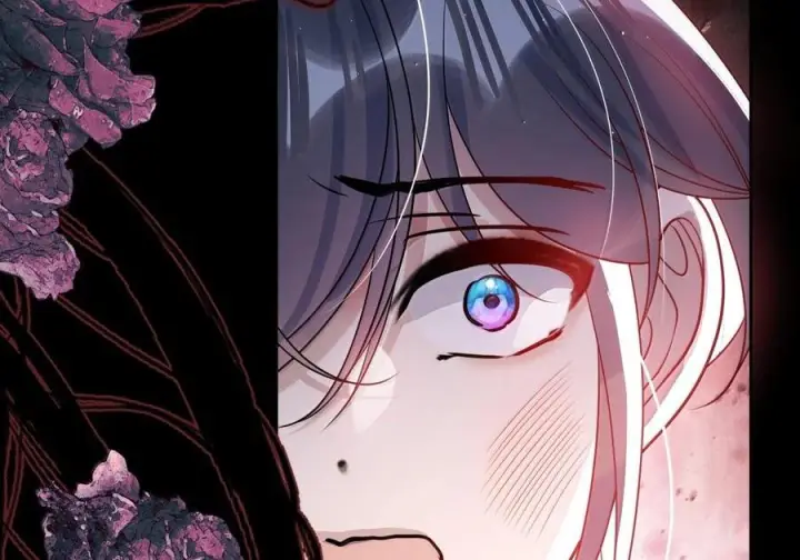 《娇养了个疯批美人儿》080 没有价值了图47