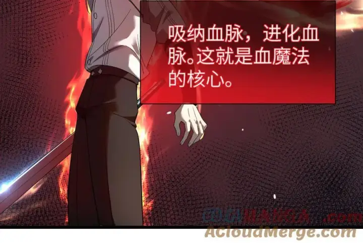 《家族影子的背叛》28 血魔晶图25
