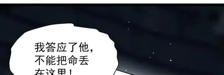 《家族影子的背叛》39 救赎莱莎图112