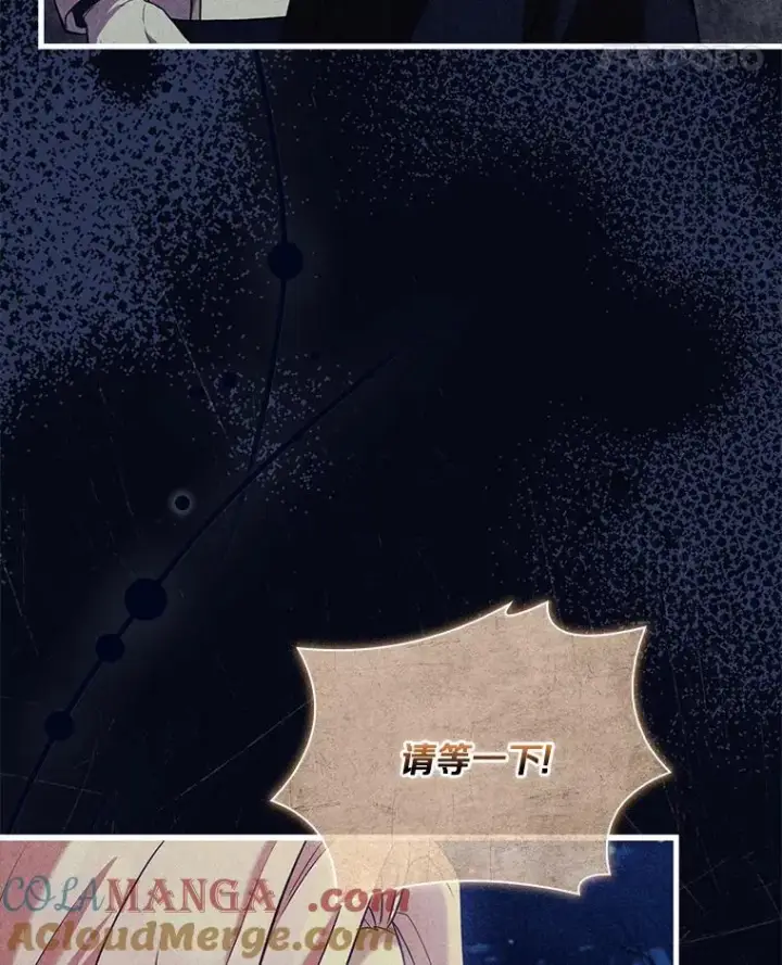 《解除婚约的代价》41.西亚的反击图85