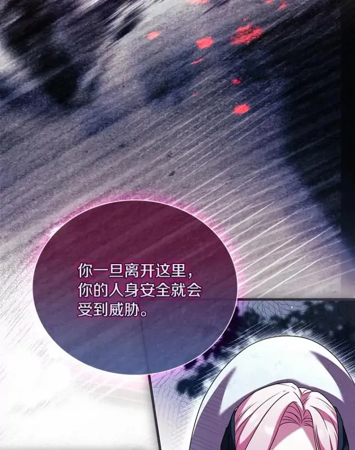 《解除婚约的代价》48.离开皇城图15