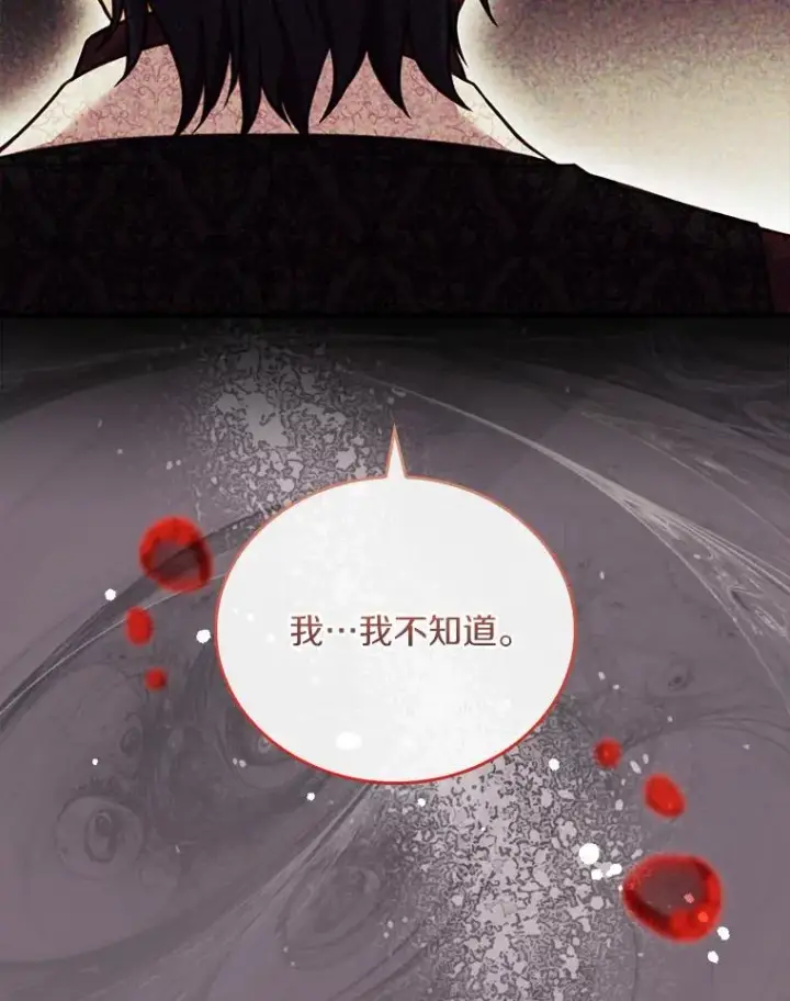 《解除婚约的代价》49.回到公爵府图120