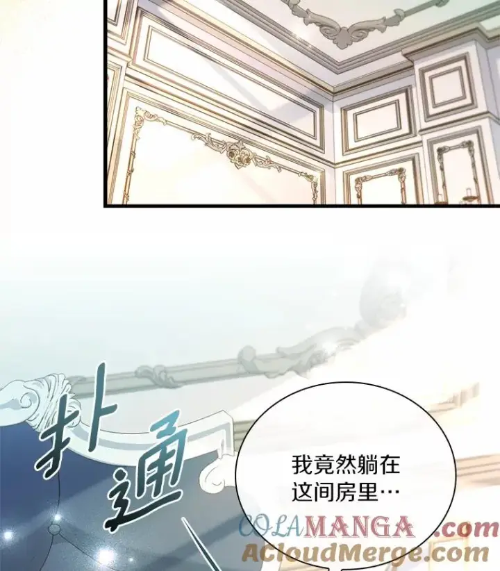 《解除婚约的代价》49.回到公爵府图33