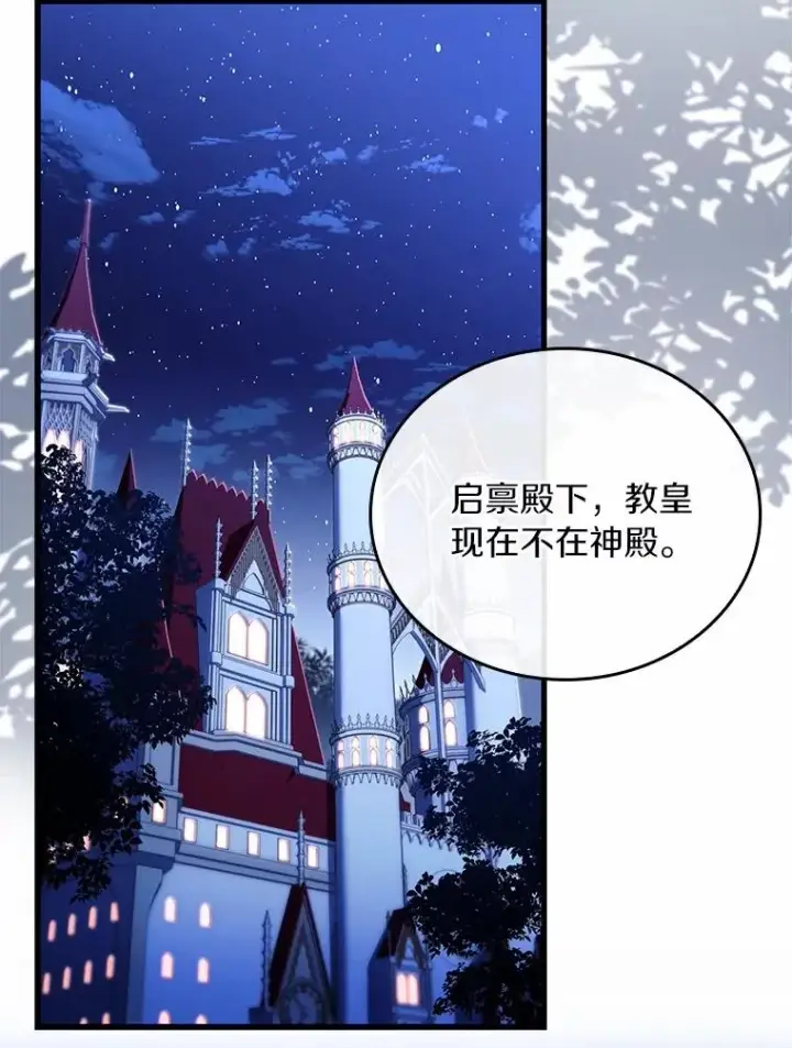 《解除婚约的代价》55.教皇相助图103