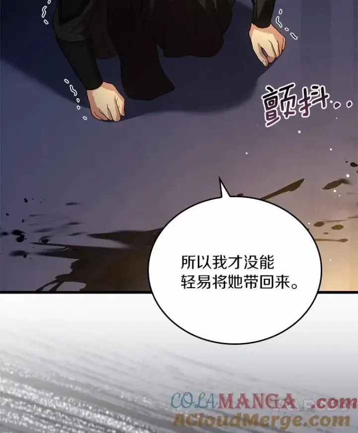 《解除婚约的代价》55.教皇相助图117