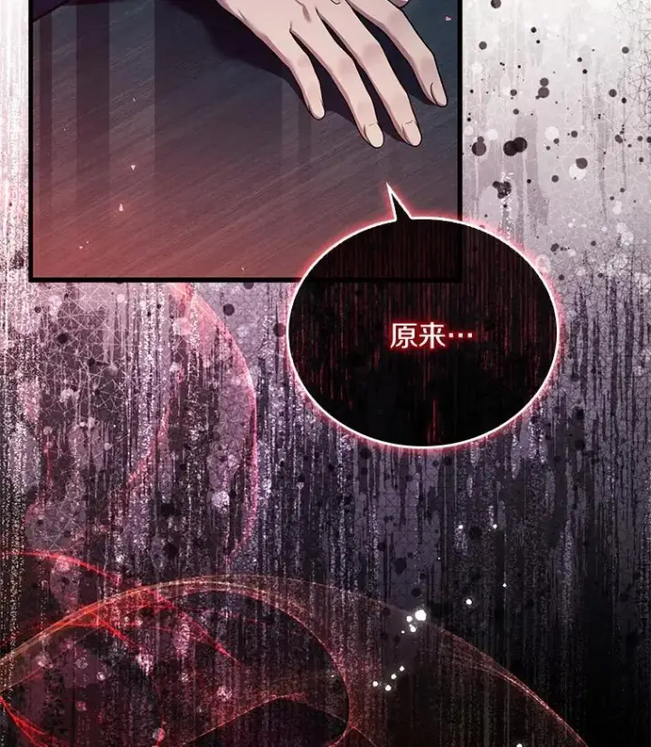 《解除婚约的代价》55.教皇相助图126