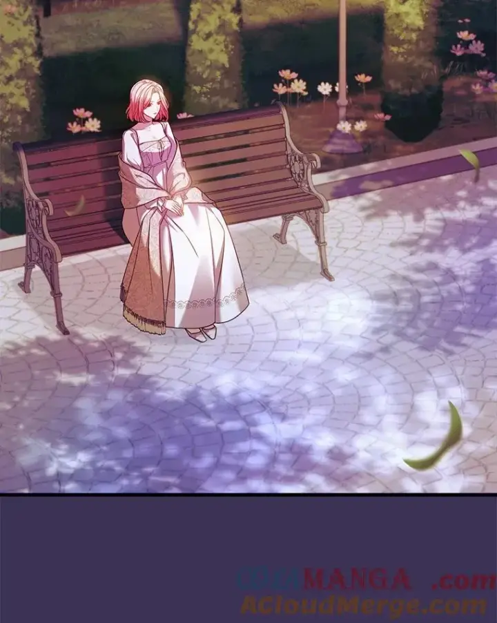 《解除婚约的代价》55.教皇相助图25