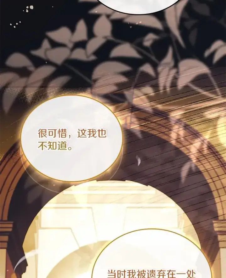 《解除婚约的代价》55.教皇相助图58