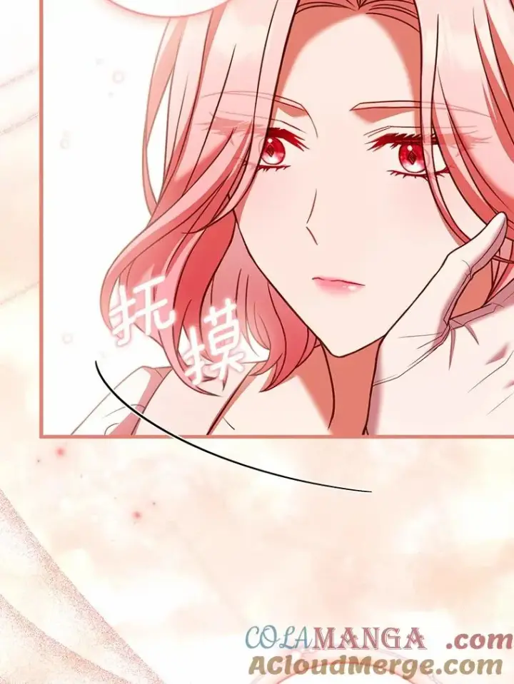 《解除婚约的代价》55.教皇相助图93