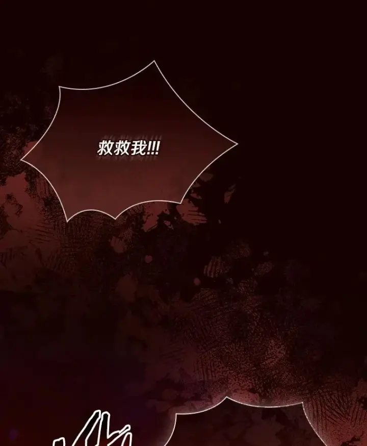 《解除婚约的代价》58.归途遇袭图15