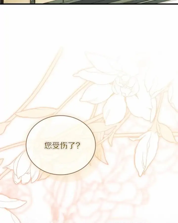《解除婚约的代价》63.教皇离开图103