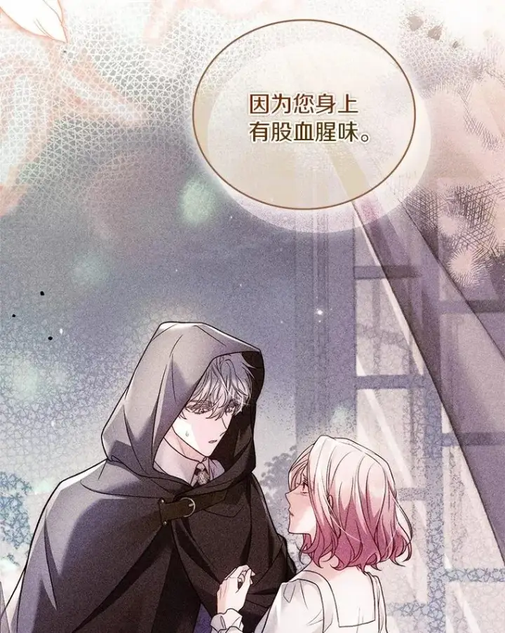 《解除婚约的代价》63.教皇离开图104