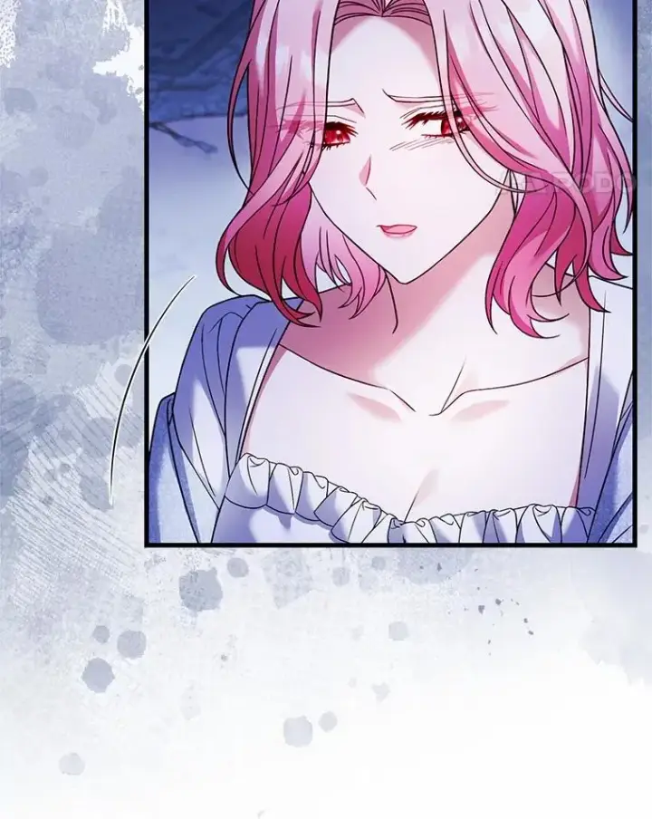 《解除婚约的代价》63.教皇离开图14