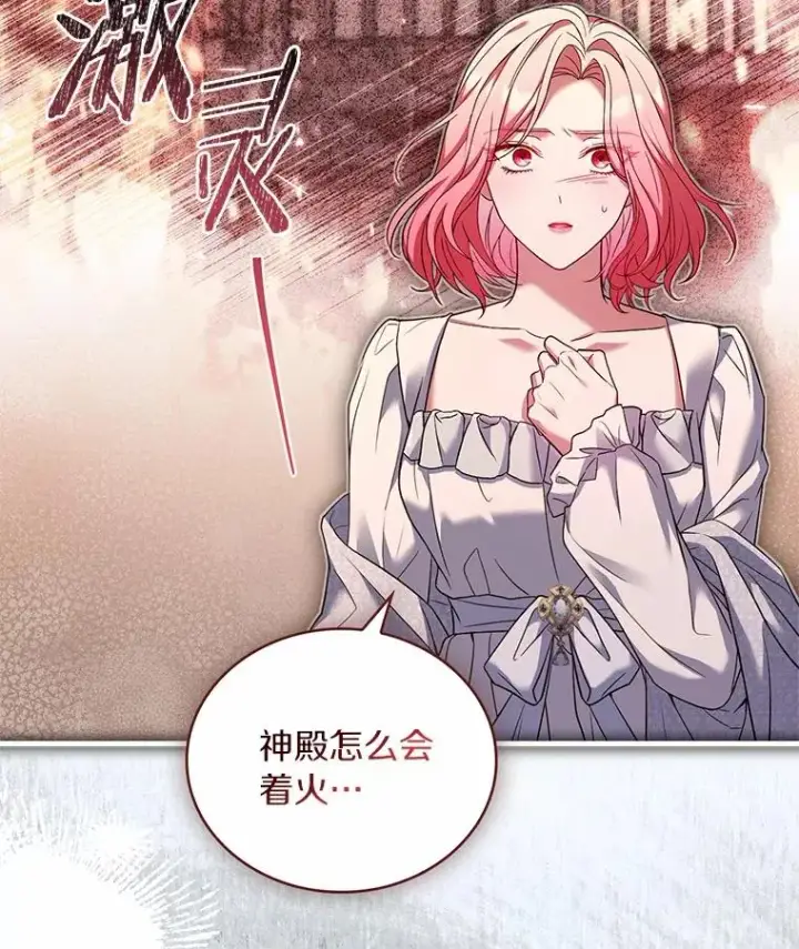 《解除婚约的代价》63.教皇离开图18