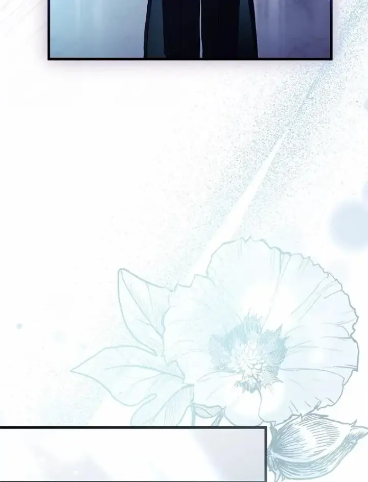《解除婚约的代价》63.教皇离开图54