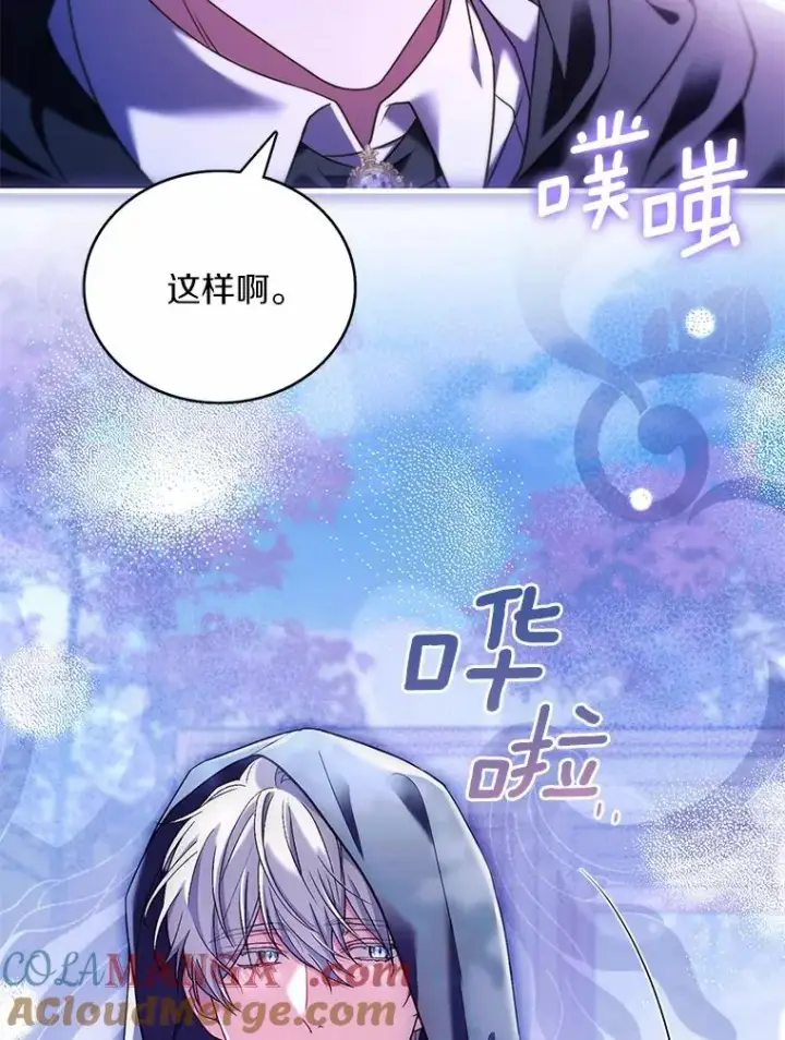 《解除婚约的代价》63.教皇离开图97