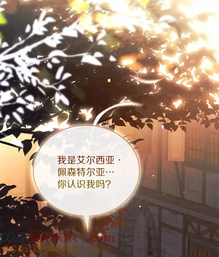 《解除婚约的代价》64.遭遇暗杀图117