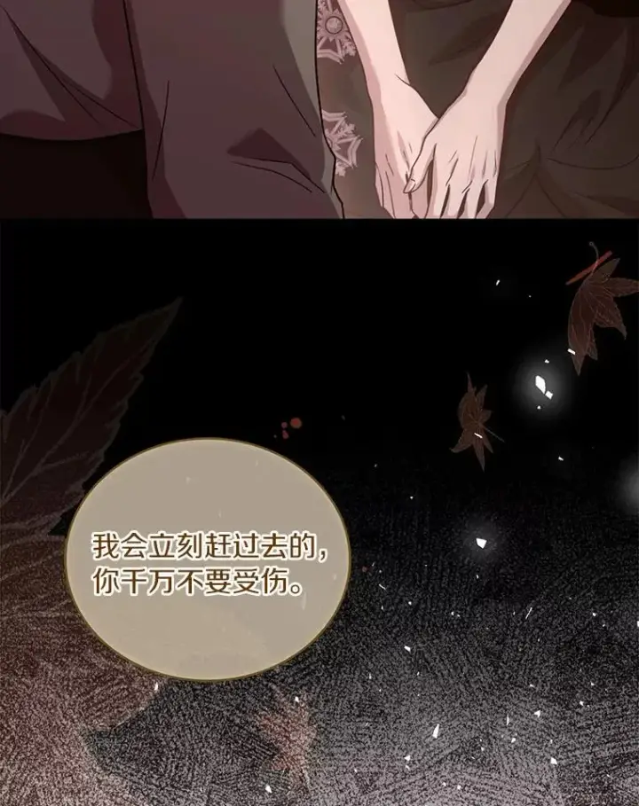 《解除婚约的代价》78.设局诈敌图64