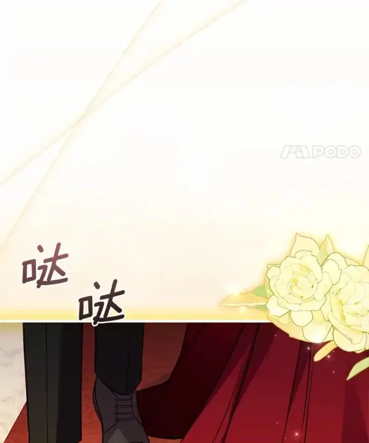 《解除婚约的代价》84.教皇露面图103