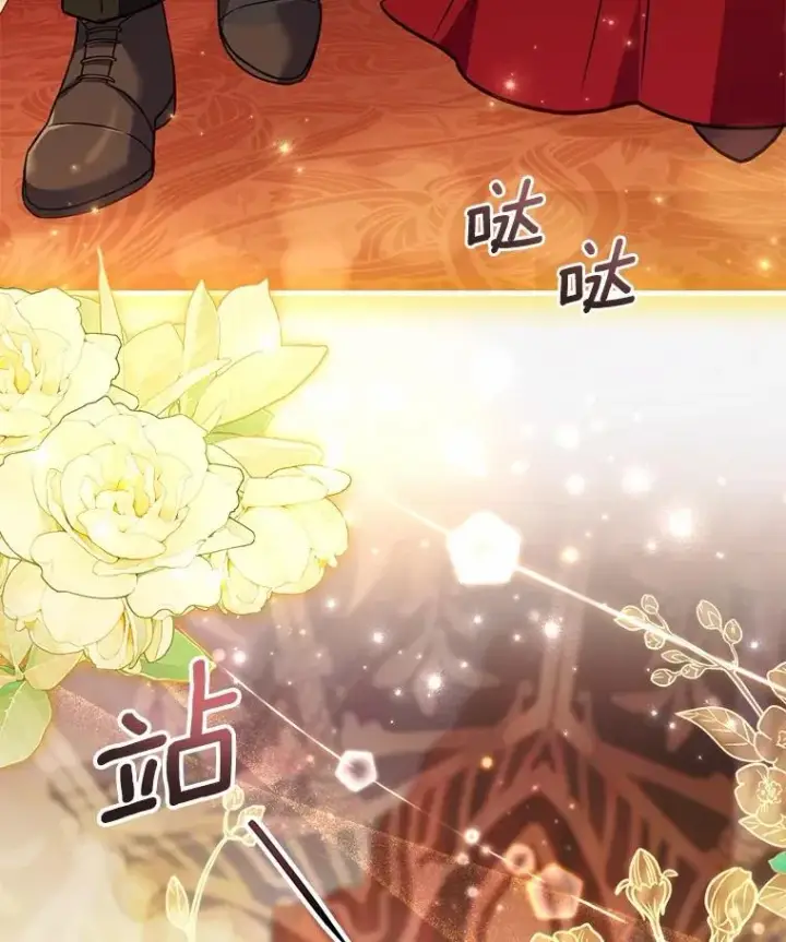 《解除婚约的代价》84.教皇露面图104