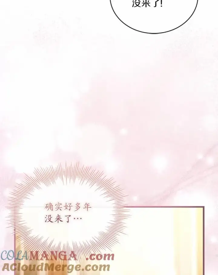 《解除婚约的代价》84.教皇露面图109