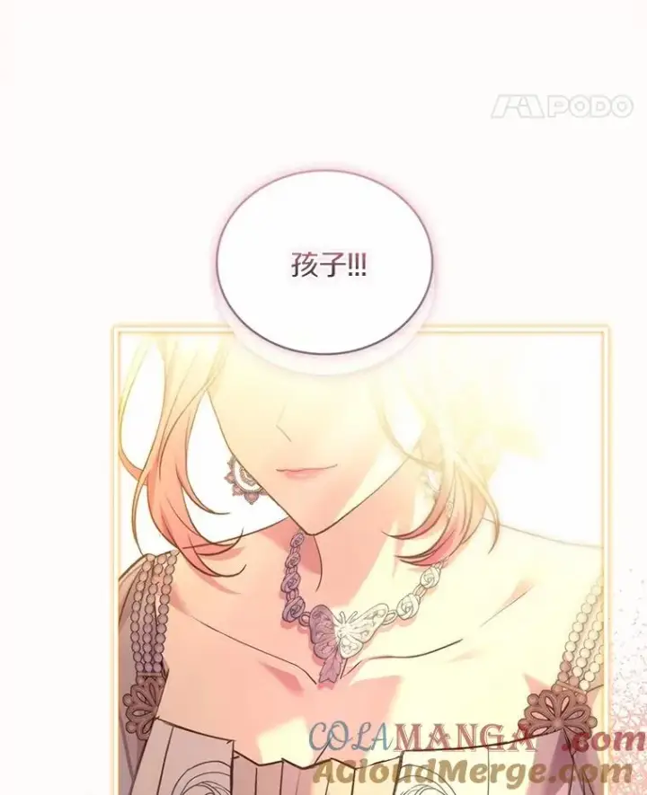 《解除婚约的代价》84.教皇露面图117