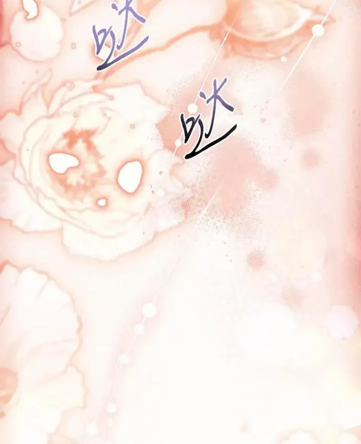 《解除婚约的代价》84.教皇露面图119