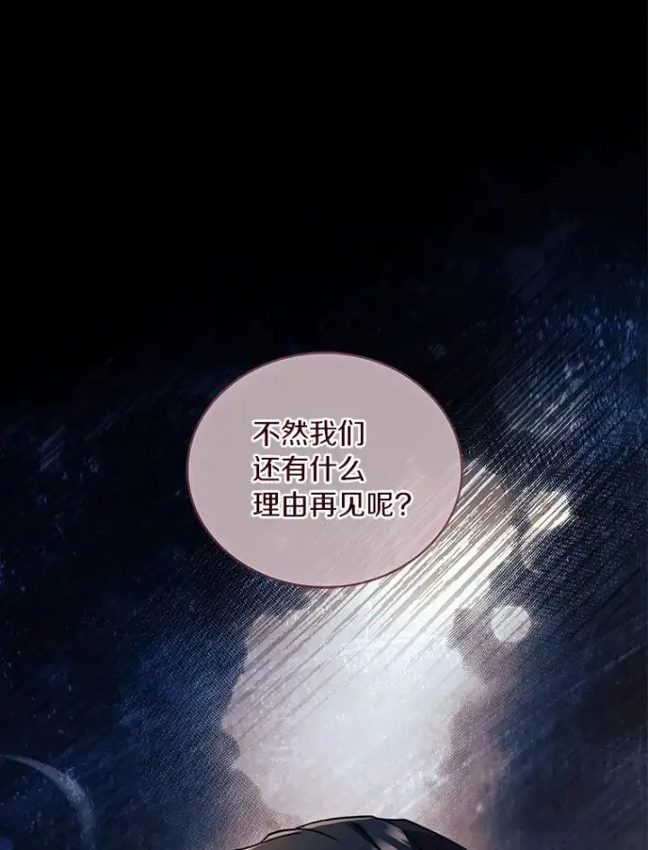 《解除婚约的代价》84.教皇露面图12