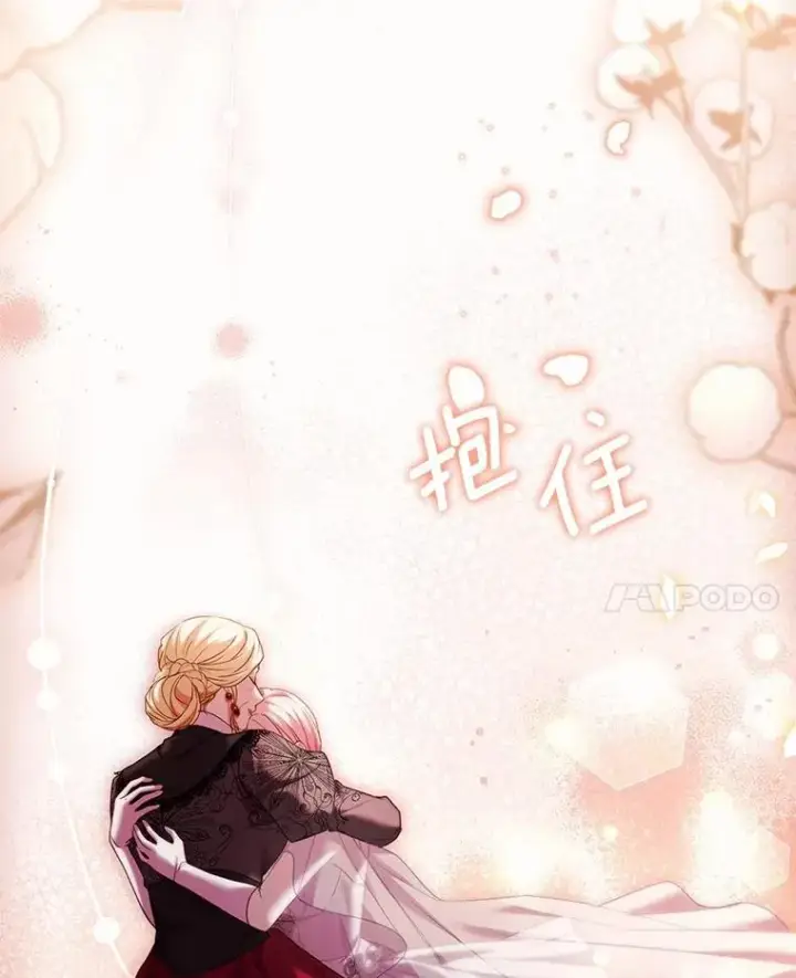《解除婚约的代价》84.教皇露面图120