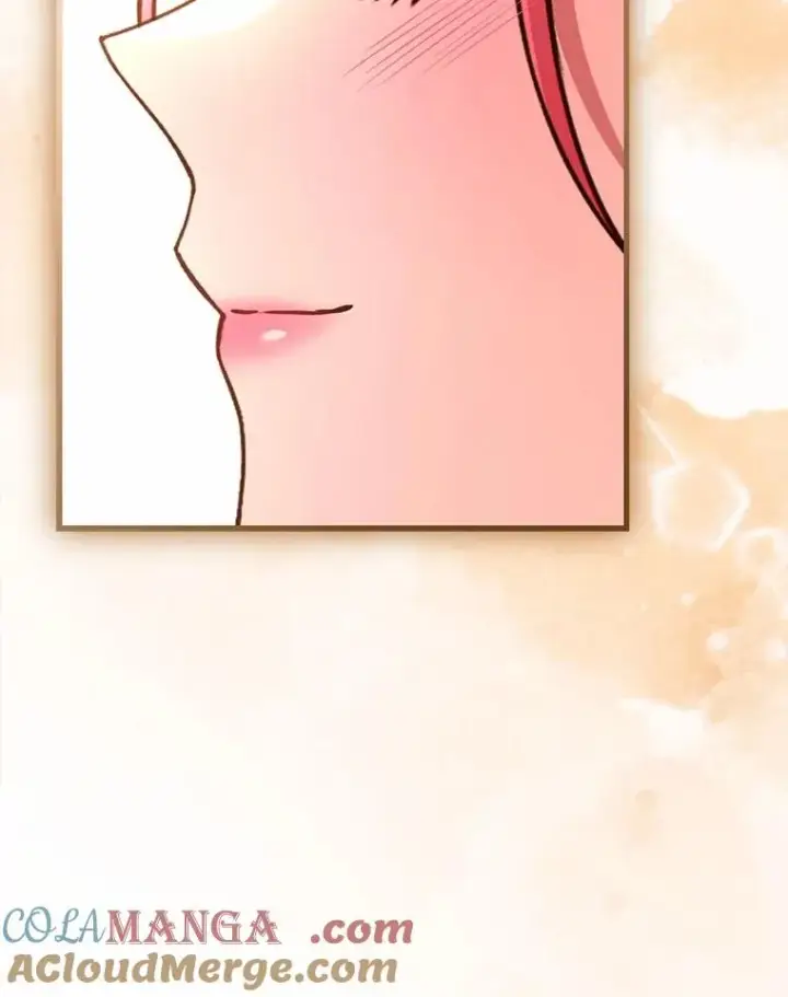 《解除婚约的代价》84.教皇露面图125
