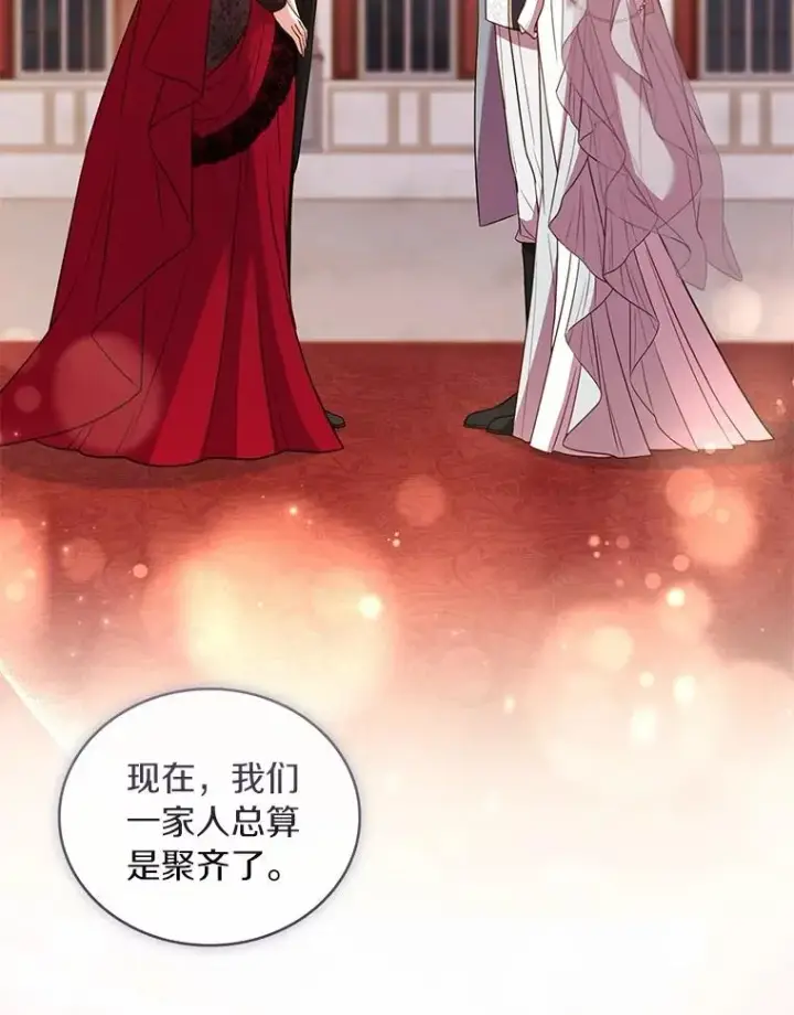 《解除婚约的代价》84.教皇露面图131