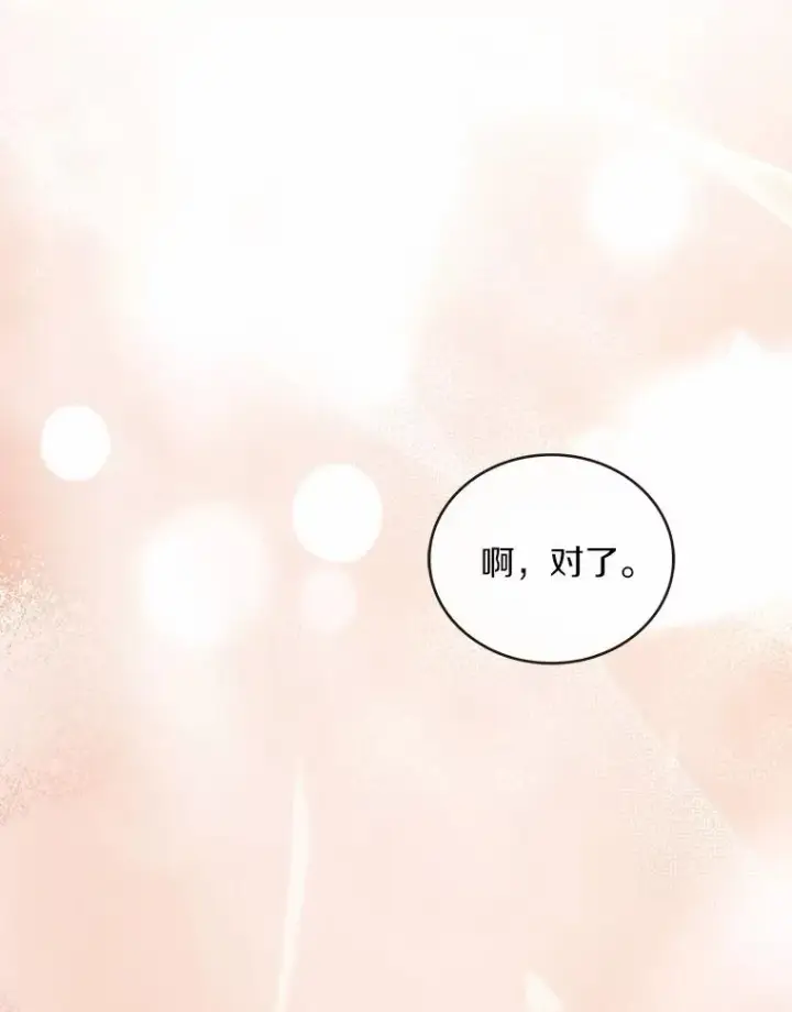 《解除婚约的代价》84.教皇露面图132