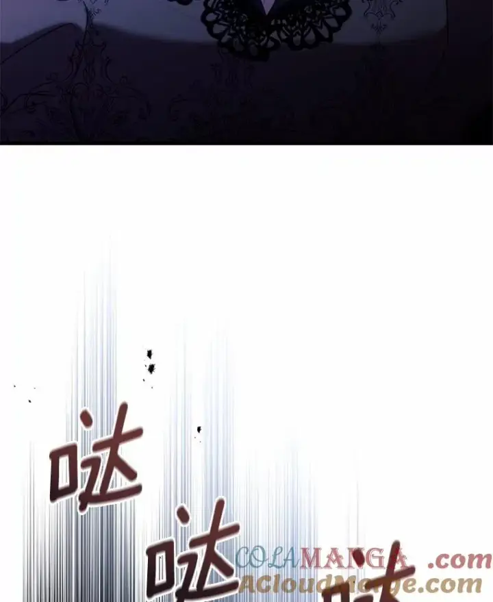 《解除婚约的代价》84.教皇露面图141