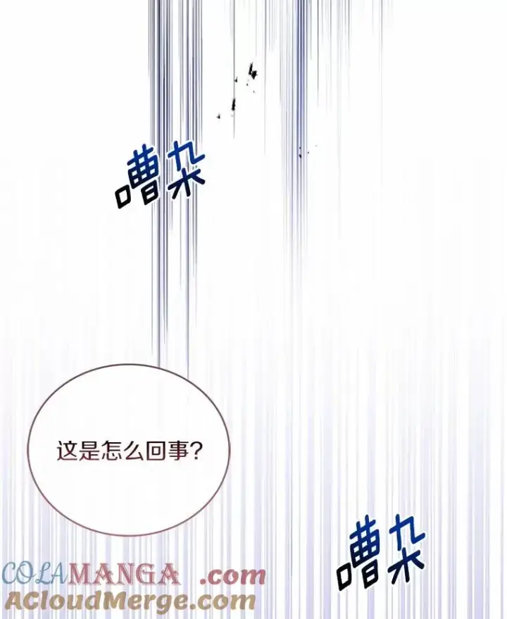 《解除婚约的代价》84.教皇露面图145