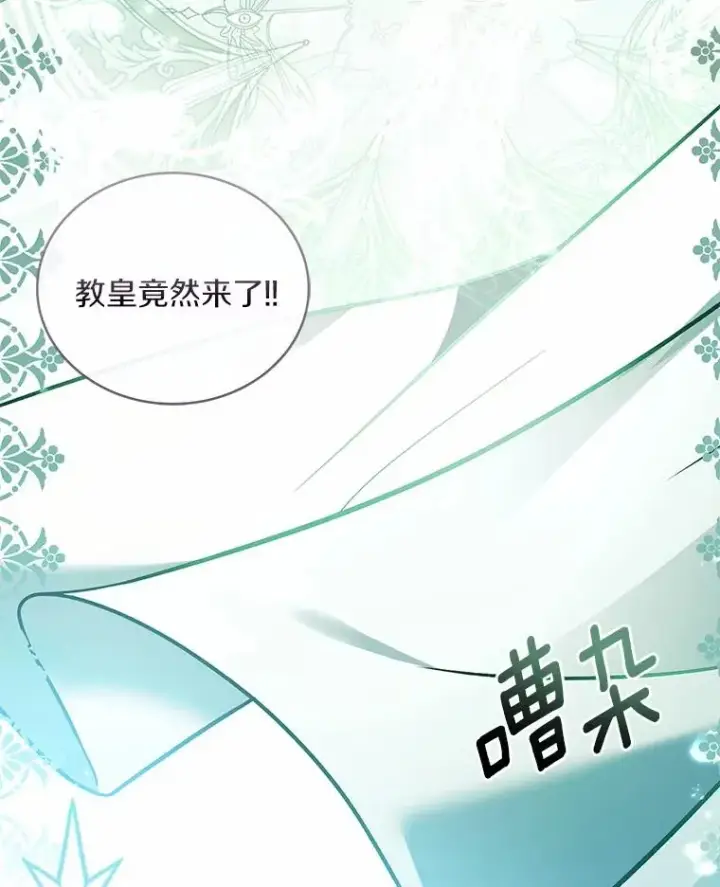 《解除婚约的代价》84.教皇露面图26