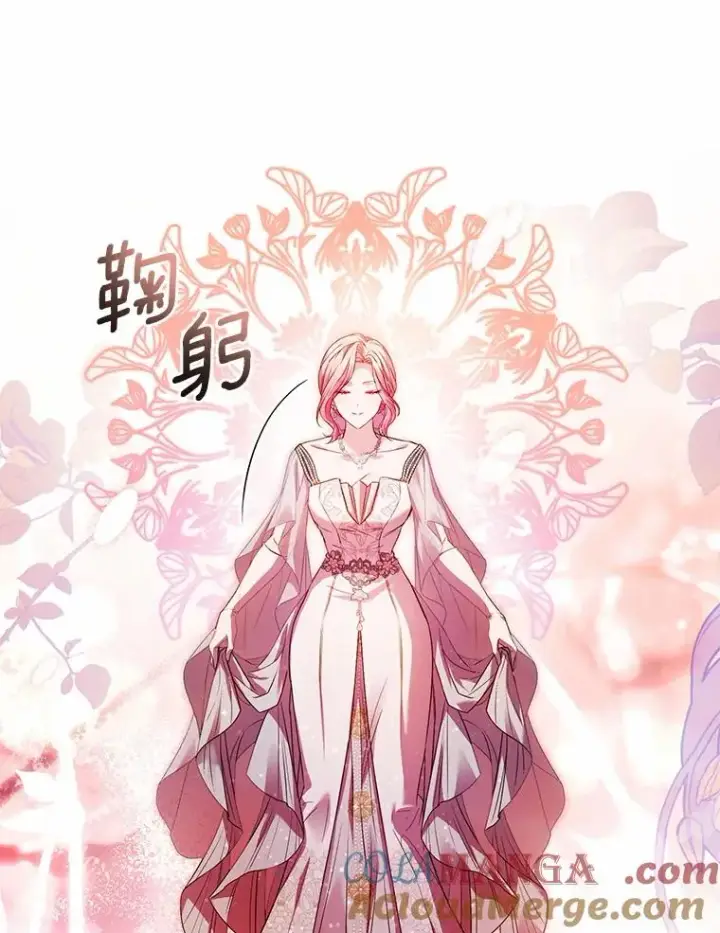 《解除婚约的代价》84.教皇露面图33