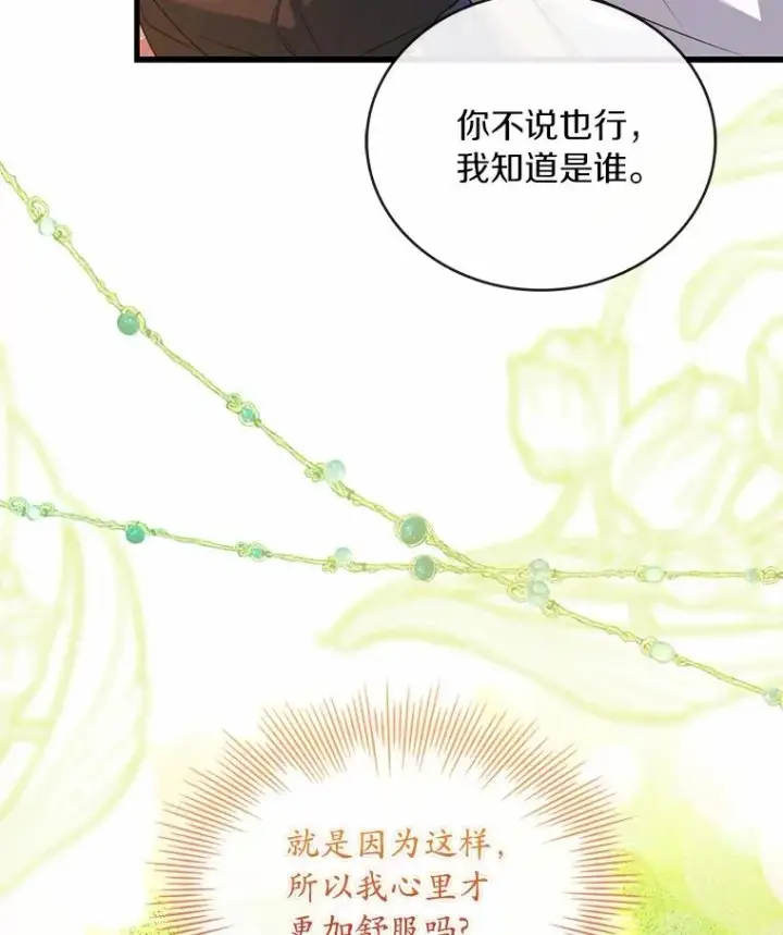 《解除婚约的代价》84.教皇露面图47