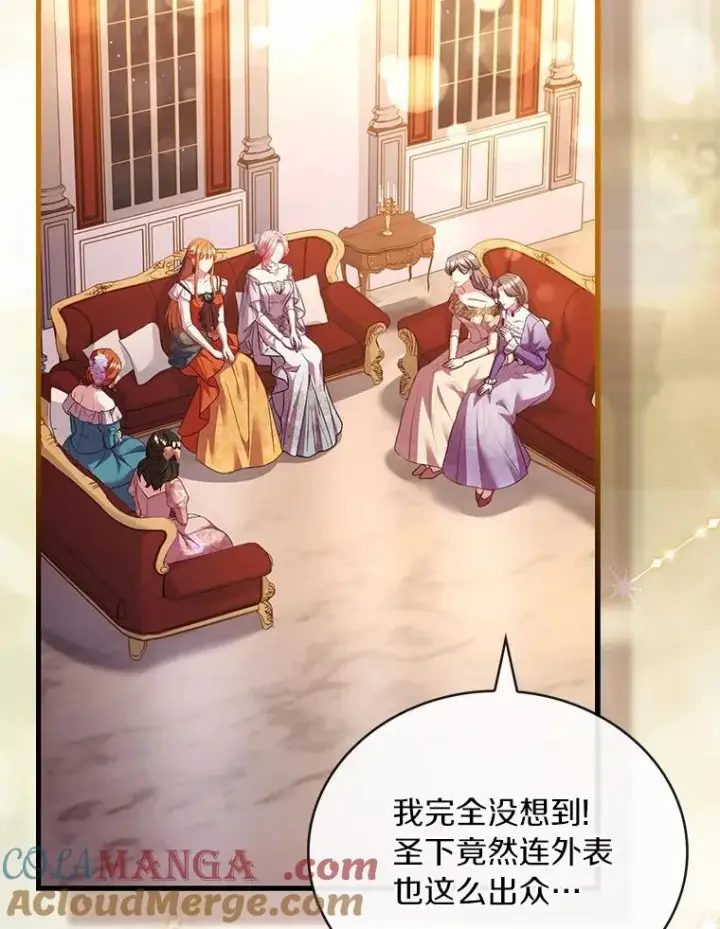 《解除婚约的代价》84.教皇露面图73