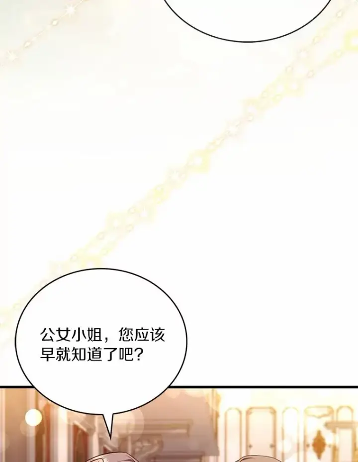 《解除婚约的代价》84.教皇露面图74