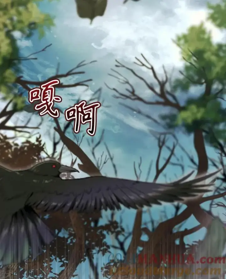 《结局制造者》38.魔女之林图29