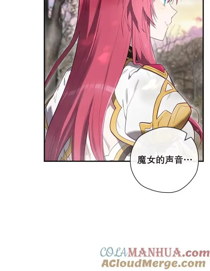 《结局制造者》39.解放魔女图5